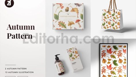 Autumn season illustration and pattern