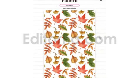 Autumn season illustration and pattern