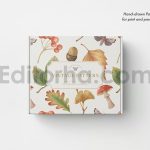 Autumn season illustration and pattern
