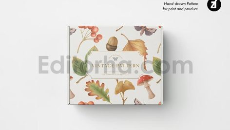 Autumn season illustration and pattern