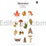 Autumn season illustration and pattern