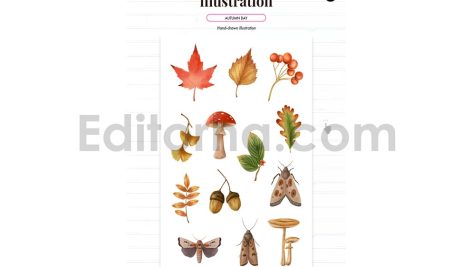 Autumn season illustration and pattern