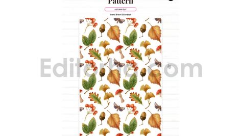 Autumn season illustration and pattern