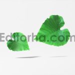 Backpack Bag Mockup3