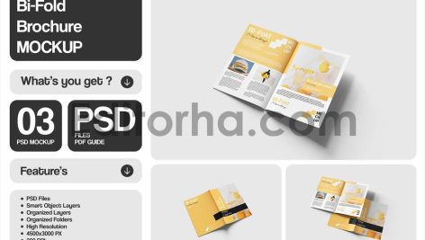 Bifold Brochure Mockup1