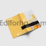 Bifold Brochure Mockup2