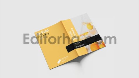 Bifold Brochure Mockup2