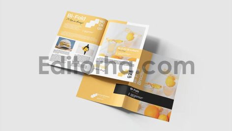 Bifold Brochure Mockup3