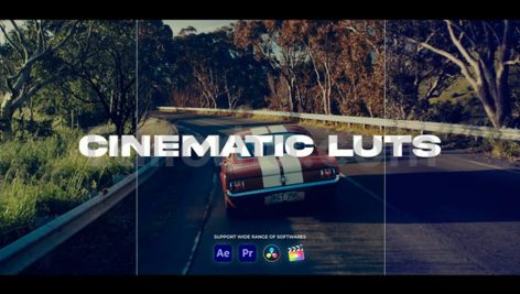 Cinematic LUTs Color Presets