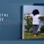 Coastal Breeze LUTs Pack