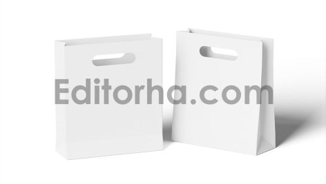 High Quality Paper Bag Mockup Set4