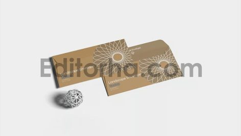 Landscape Envelope Mockup2
