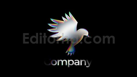Liquid Chromatic Logo Animation