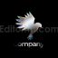 Liquid Chromatic Logo Animation