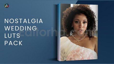 Nostalgia Wedding LUTs Pack