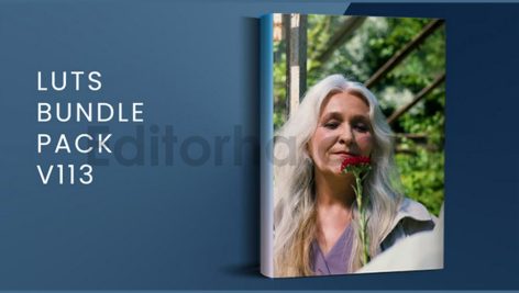 LUTs Bundle Pack V113 | DaVinci Resolve