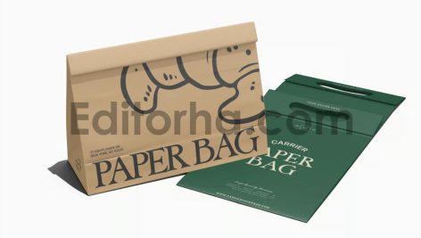 Paper Bag with Handle Mockup2