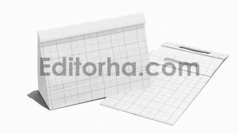 Paper Bag with Handle Mockup3