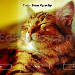 Silent Sunset Shadow Overlay Backgrounds
