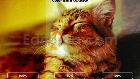 Silent Sunset Shadow Overlay Backgrounds