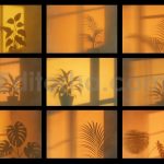 Silent Sunset Shadow Overlay Backgrounds