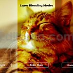 Silent Sunset Shadow Overlay Backgrounds