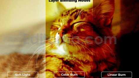 Silent Sunset Shadow Overlay Backgrounds