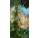 Rain Droplets Fall From Leaves During a Bright Day Near a Tranquil Neighborhood Garden