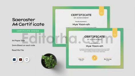 Saeroster - Certificate Template