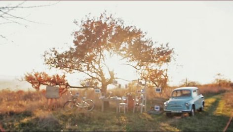 Happy autumn day - Photo Gallery