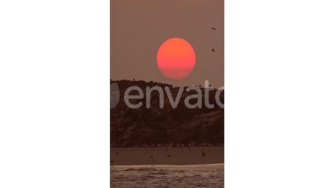 Many Seagulls Flying at Sunset