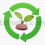 Conservation Seedling in Protective Dish