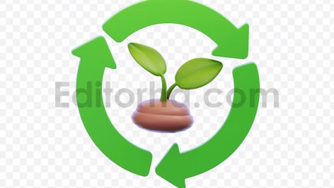 Conservation Seedling in Protective Dish