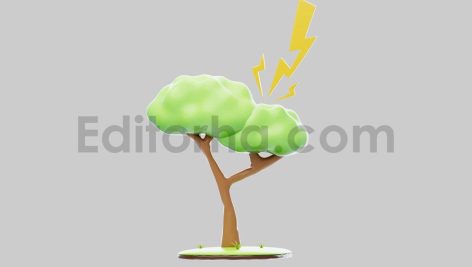 Tree struck by lightning