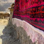 local people wash red handmade wool silk carpet the persian art of weaving rug in Iran nomad rural l