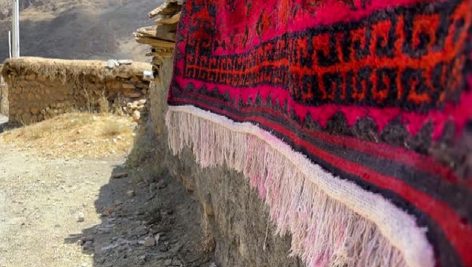 local people wash red handmade wool silk carpet the persian art of weaving rug in Iran nomad rural l