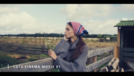 Cinema Movie Luts