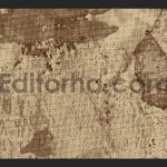 Grunge Line Halftone4