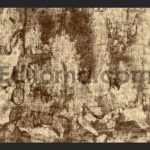 Grunge Line Halftone5