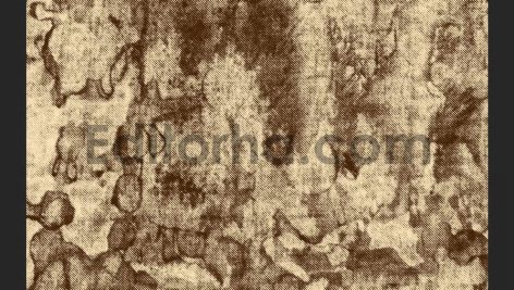 Grunge Line Halftone5