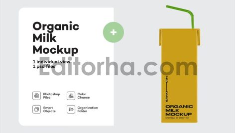 Juice Carton Box with Straw Mockup3