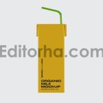 Juice Carton Box with Straw Mockup4
