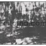 Monofade Grunge Halftone2