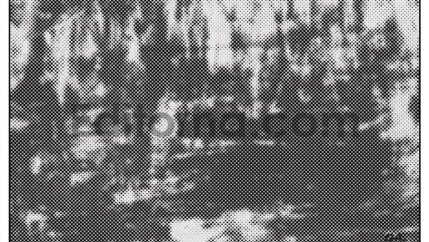 Monofade Grunge Halftone2