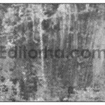 Monofade Grunge Halftone3