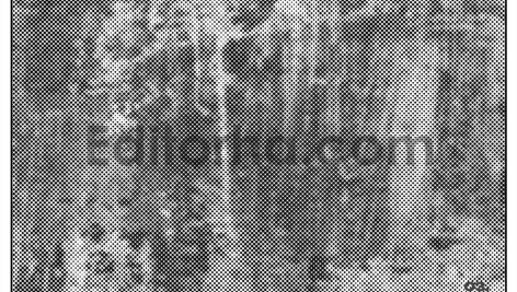 Monofade Grunge Halftone3