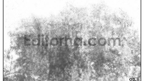 Monofade Grunge Halftone5