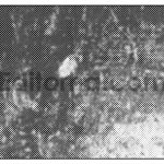 Monofade Grunge Halftone7