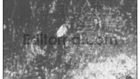 Monofade Grunge Halftone7