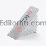 Plastic Sandwich Container Mockup 2